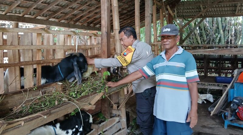 Dukung Program Ketahanan Pangan, Bhabinkamtibmas Sawahan Tinjau Peternakan Warga