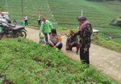 Polisi Probolinggo Lakukan Monitoring Tanaman Seledri di Desa Sariwani  Sukapura