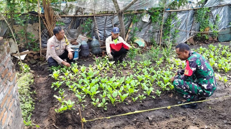 Dukung Ketahanan Pangan, Polisi dan Babinsa Kompak Dampingi Warga Ngadipiro Tanam Sawi Bernilai Ekonomi Tinggi