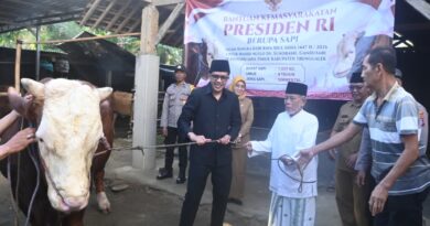 Wabup Syah Serahkan Sapi Kurban Presiden Prabowo di Trenggalek