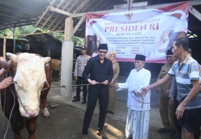 Wabup Syah Serahkan Sapi Kurban Presiden Prabowo di Trenggalek