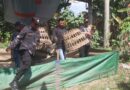 Polres Blitar Kota Tindak Cepat Dugaan Perjudian Sabung Ayam, Arena di Ponggok dan Srengat Dibubarkan