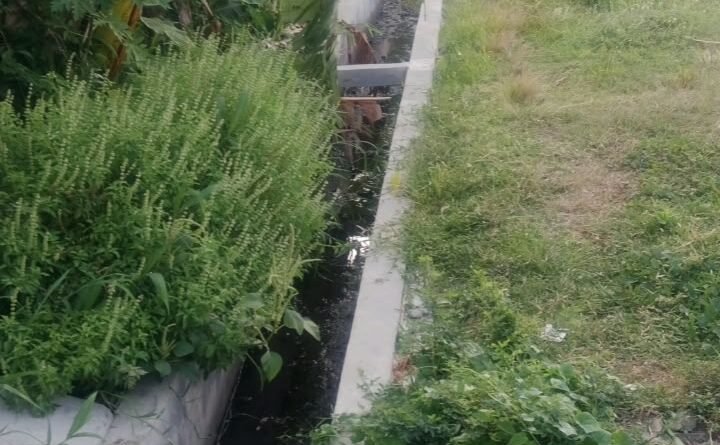 Bangunan Irigasi Tanpa Papan Informasi di Desa Plosogeneng Mengalami Keretakan 